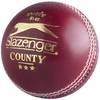 SLAZENGER County Cricket Ball (503093)