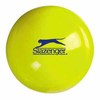 Specially weighted ball for aiding young players` skill development.  Price is for 12 balls