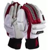 Panther-Right Hand Cricket Gloves