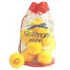 SLAZENGER Shortex Tennis Balls (457091)