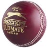 SLAZENGER Ultimate Cricket Ball (503091)