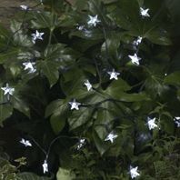Smart Solar Star Lights - 100 LED