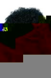 Smiffys Budget Curly Black Afro Wig