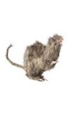 Realistic Hairy Fake Rat 6` Long