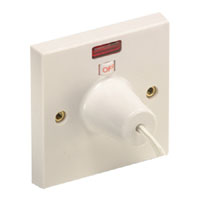 45 Amp Dp Ceiling Switch And Neon