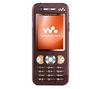 W890i - brown
