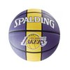 LA Lakers Team Basketball