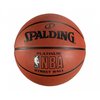 NBA Platinum Street Basketball