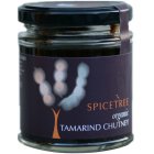 Spicetree Tamarind Chutney