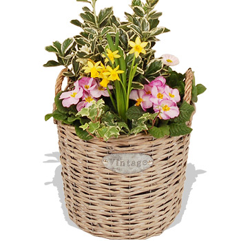 Spring Outdoor Planter - flowers