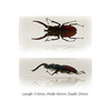 Beetle Paperweight