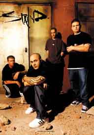 Staind Dirt Textile Poster