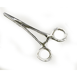 Stainless Steel Straight Forceps - 10 inch