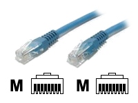startech.com patch cable - 10.7 m