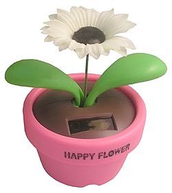 Steepletone Products Ltd Solar flower powered Happy Flower