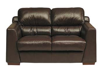 Steinhoff UK Furniture Ltd Sydney Leather 2 Seater Sofa