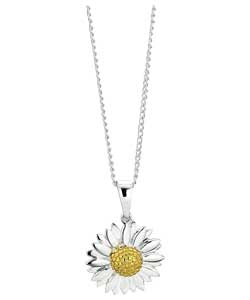 Silver and 9ct Gold Flower Pendant
