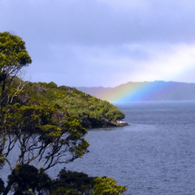 Stewart Island Coastal Highlights - Child