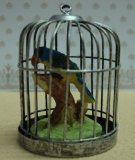 Streets Ahead Dolls House Parrot in cage