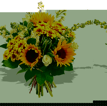 summer Lovin   Vase - flowers