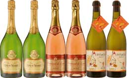 Sunday Times Wine Club GOLD Medal Sparklers - Mixed case