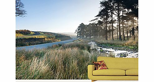 Surface View Forest of Bowland Wall Mural, 360 x