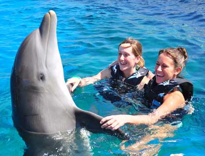 Swim With Dolphins in St Augustine Dolphin Experience St. Augustine