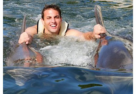 Swim With Dolphins Miami