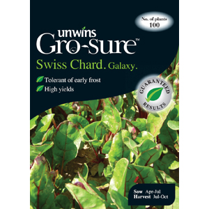 Swiss Chard Galaxy Vegetable Seeds
