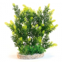 D&eacute;cor Aqua Plant Hedge 24 cm