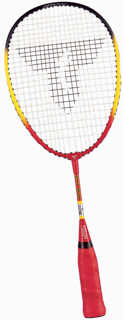 Talbot Torro BISI Mini Racket 449570/449531 -