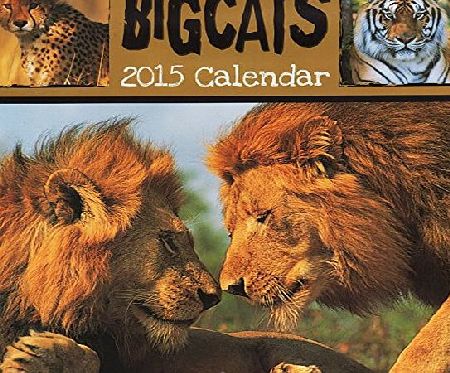 Tallon Big Cats Calendar - Big Cats 2015 Calendar Month To View With Postal Envelope