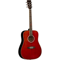 Evolution TW28-CLR Acoustic Guitar