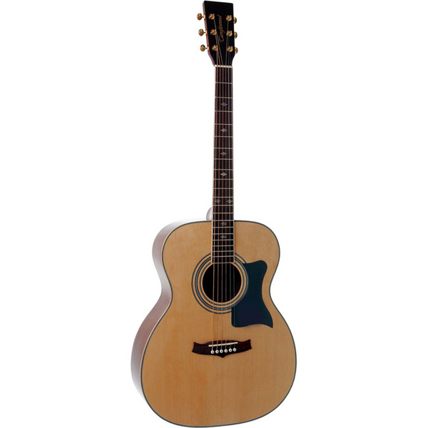 TW170 AS Acoustic Guitar