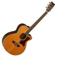 TW45NSE Acoustic Guitar