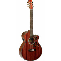 TW47-E Acoustic Guitar