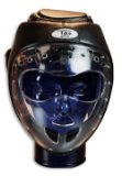 Tao Sports T-Mask Head Guard Black