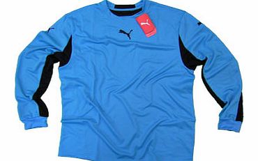 Teamwear Shirts  V Kat Pro Goalkeepers Shirt