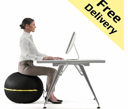 Technogym Wellness Ball Active Sitting - 65cm
