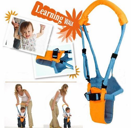 Baby Walker- Toddler Harnesses- Learning Walk Carrier .