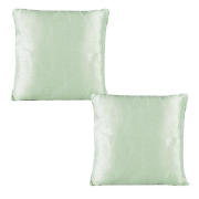 tesco Faux Silk Cushion, Green, Twinpack