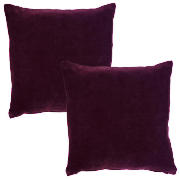 tesco Velvet Cushion, Plum, Twinpack