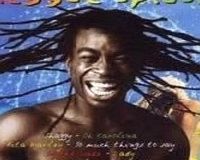 The brand Guy Laroche DRAKKAR NOIR Eau de Toilette 100 ml