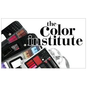 Color Institute Professional Make-up Artist
