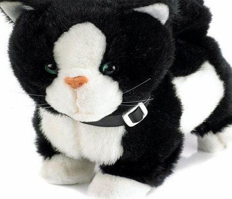 The Discovery Store Electronic Toy Pet Black & White Cat Jess Life-like Movement Walks Meows and Wags Her Tail and H