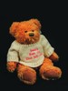 The Keepsake Co Tatty Teddy Message Bear