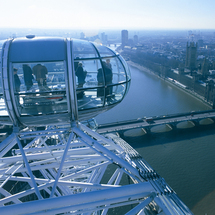 The London Eye Plus Lunch - Adult