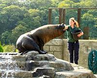 the National Seal Sanctuary (Cornwall) after 3pm