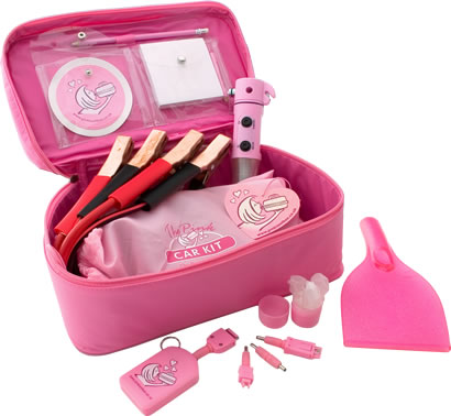 Pink Car Kit