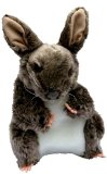 The Puppet Company Rabbit Glove Puppet